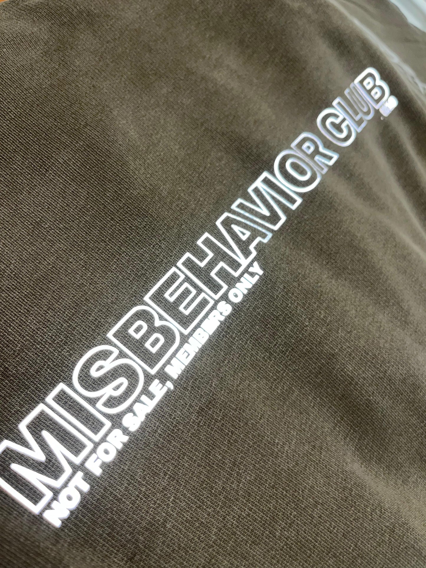 SPRYNKS MISBEHAVIOR CLUB HOODIE 002