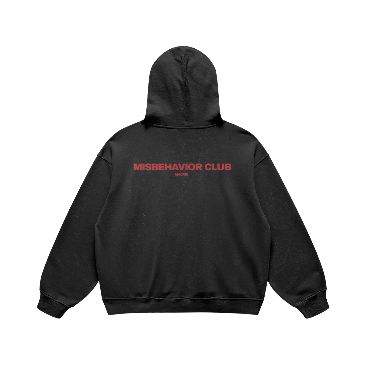 THE SPRYNKS FAMILY HOODIE (MISBEHAVIOR CLUB EXCLUSIVE)