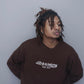 SPRYNKS BROWN KNIT SWEATER LIMITED EDITION